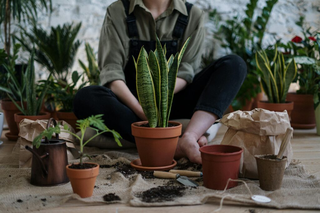 Gardening 