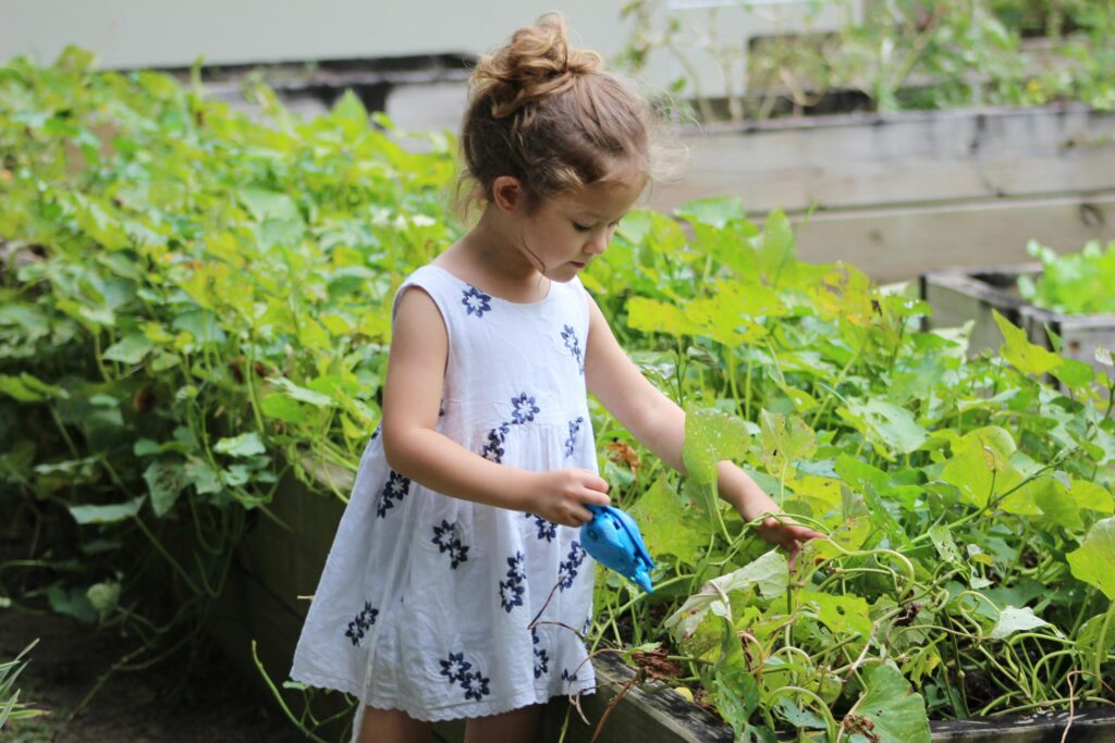 Gardening 