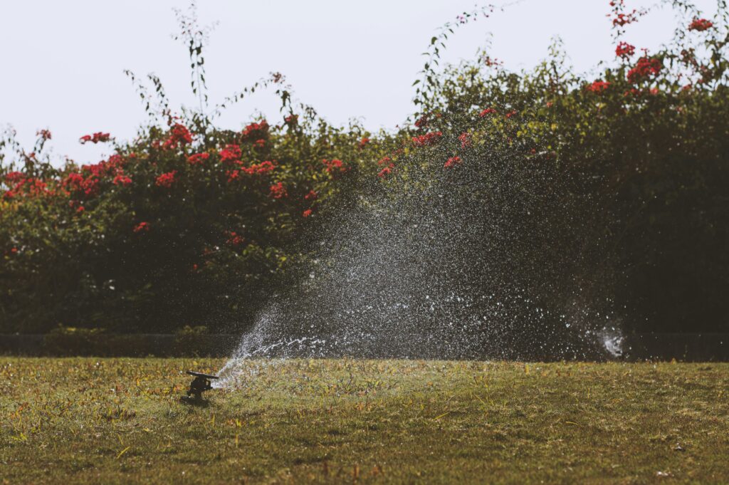 5 Tips For Finding the Best Sprinkler to Water Your Yard